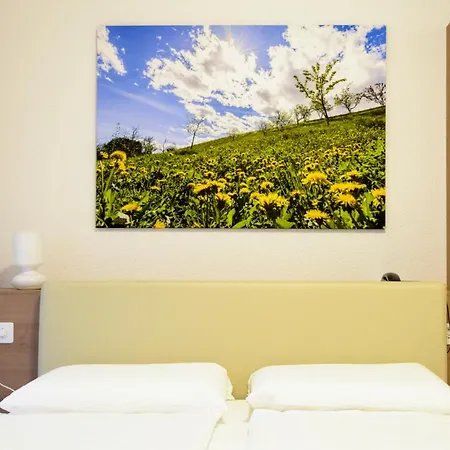 Ceresio Hotel 3*